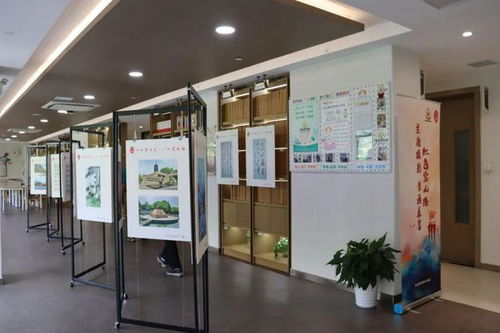 心懷青云志，八一薪火傳——寶山路街道開展慶“八一”主題教育活動