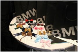 京順寶BMW 3系麗人節主題活動圓滿落幕，以“悅己”之姿，馭風而行